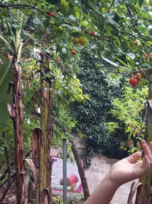 Sitio Arte E Culinária A15min Do Congresso